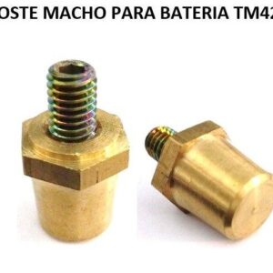 POSTE MACHO PARA BATERIA TM42