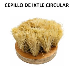 CEPILLO IXTLE CIRCULAR