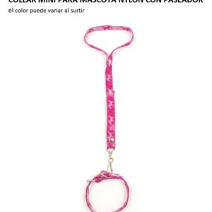 COLLAR MINI PARA MASCOTA NYLON CON PASEADOR