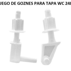 JUEGO DE GOZNES PARA TAPA WC 2485