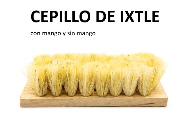 CEPILLO DE IXTLE